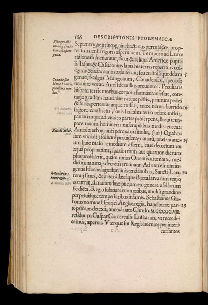 Page 231