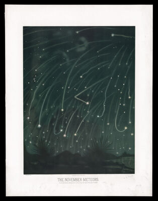 The November Meteors. As observed between Midnight and 5 o'clock A.M. on the Night of November 13-14, 1868.