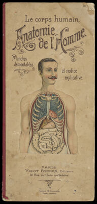 Le corps humain. Anatomie de l'Homme.