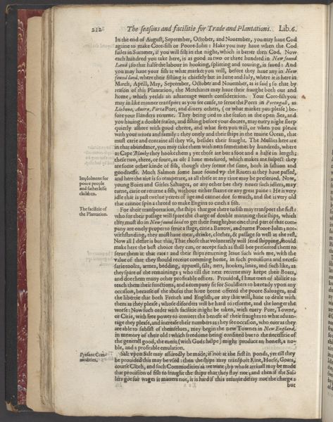 Page 233