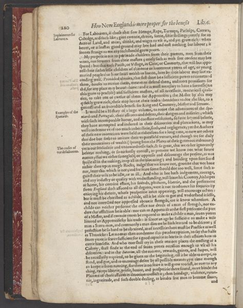 Page 241