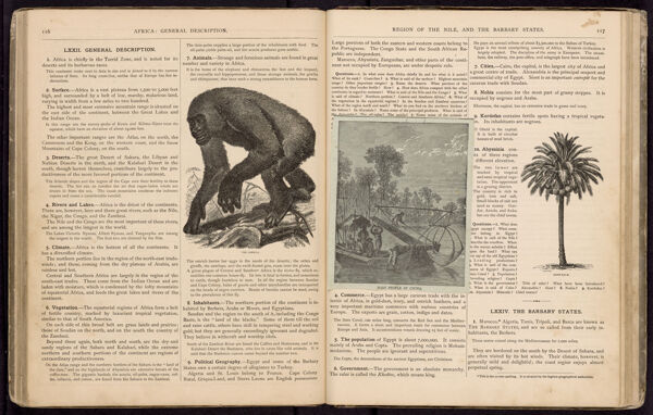 Africa: General description. / Region of the Nile, and the Barbary states. [with clipping]