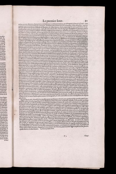 Text Page 31
