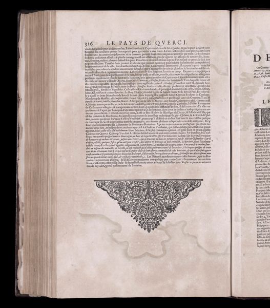 Text Page 229