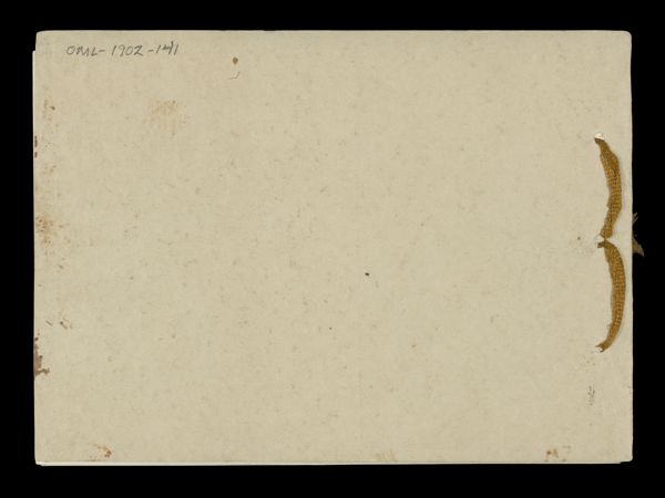 [Back Cover]