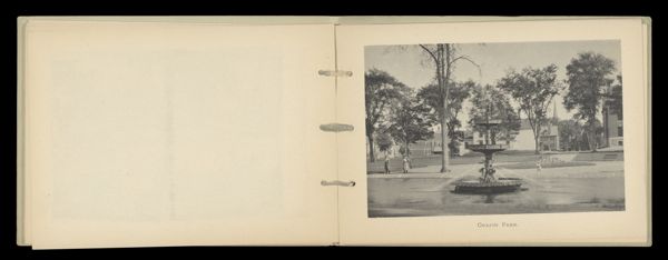 Chapin Park