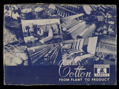 Cotton: From Plant to Product