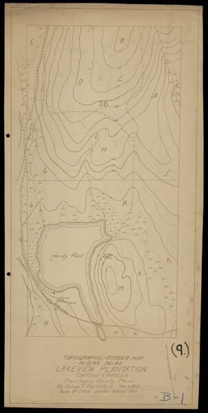 Topographic and Timber Map, Blocks 36 and 42, Lakeview Plantation, Township 4 Range 8, Piscataquis County, Maine