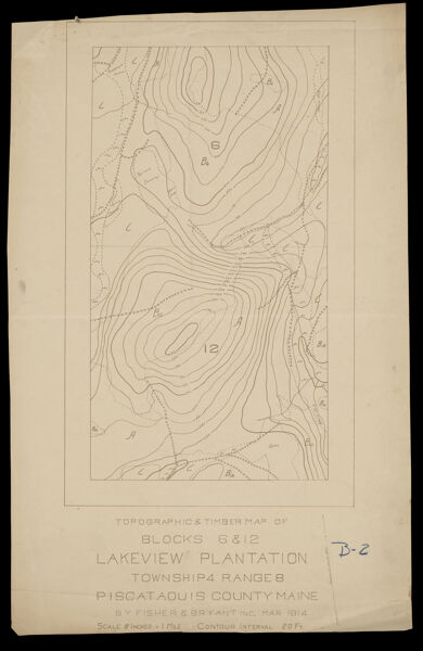 Topographic and Timber Map, Blocks 6 and 12, Lakeview Plantation, Township 4 Range 8, Piscataquis County, Maine
