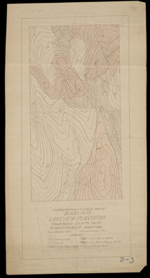 Topographic and Timber Map of blocks 17 & 23, Lakeview Plantation, Piscataquis County, Maine
