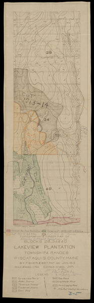 Topographic and Timber Map of blocks 28, 34 & 40, Lakeview Plantation, Township 4 Range 8, Piscataquis County, Maine