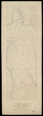 Topographic and Timber Map of blocks 29, 35 & 41, Lakeview Plantation, Township 4 Range 8, Piscataquis County, Maine