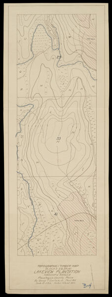 Topographic and Timber Map of blocks 29, 35 & 41, Lakeview Plantation, Township 4 Range 8, Piscataquis County, Maine