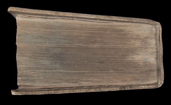 [Bottom Edge]
