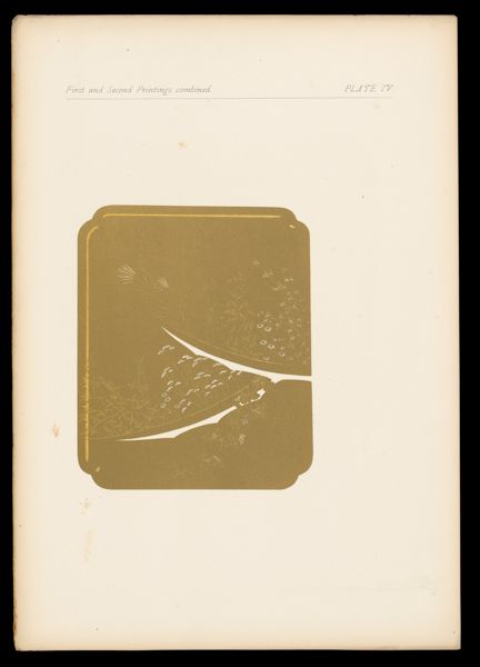 First and Second Printings combined Plate IV