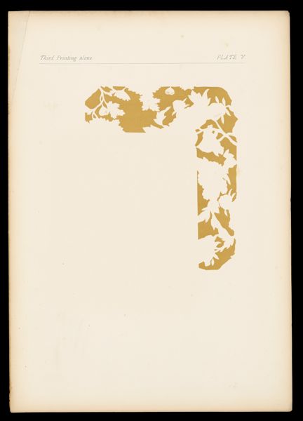 Third Printing alone Plate V
