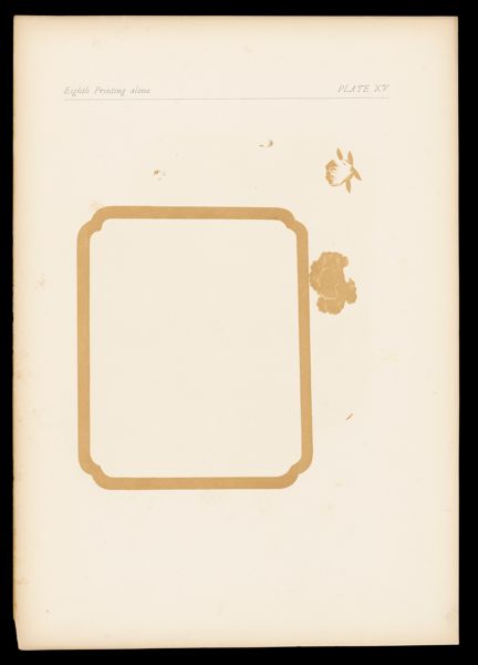 Eighth Printing alone Plate XV
