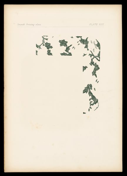 Seventh Printing alone Plate XIII