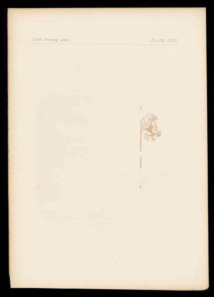 Ninth Printing alone XVII