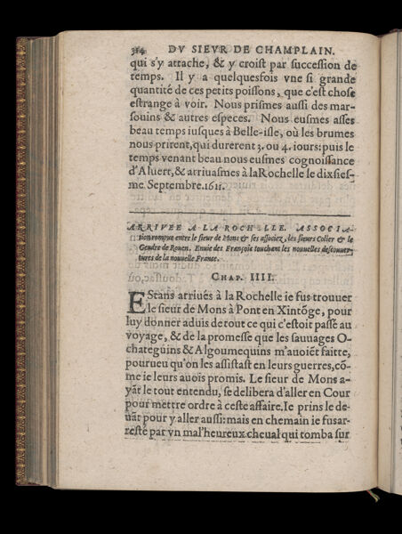 Text page 336