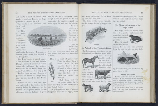 The Werner Introductory Geography / Plants and Animals of the Frigid Zone