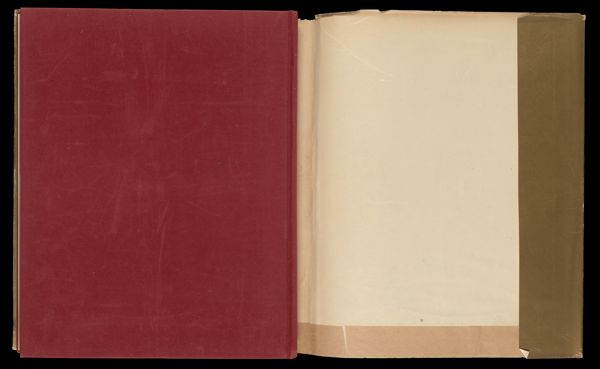 [Back Cover 1]