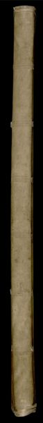 [Spine]