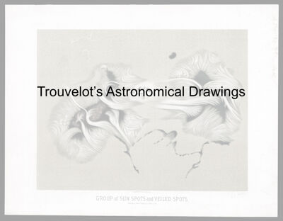 [Trouvelot's Astronomical Drawings]