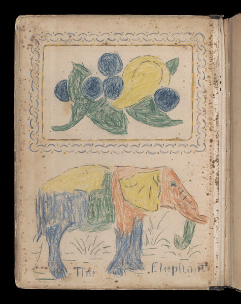 [Drawings of plant life and an colorful elephant]