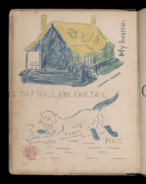 [Drawing of a house and a cat.]