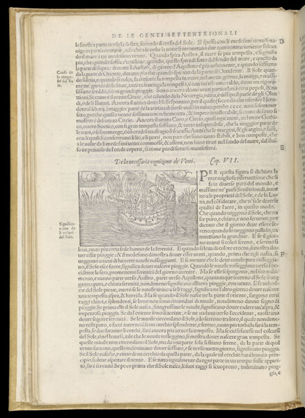 Text Page 56 (illustration and text)