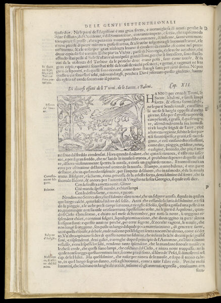 Text Page 61 (illustration and text)