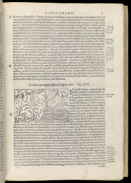 Text Page 62 (illustration and text)