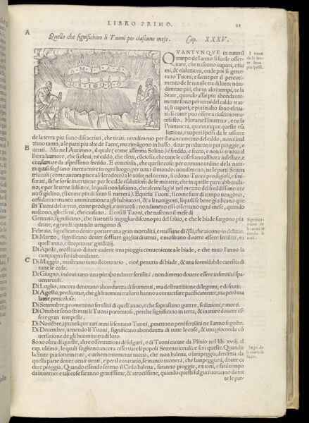 Text Page 88 (illustration and text)