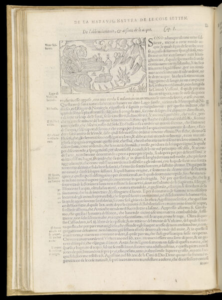 Text Page 91 (illustration and text)