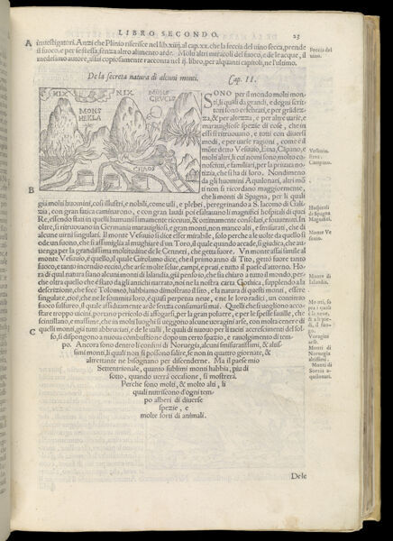 Text Page 92 (illustration and text)