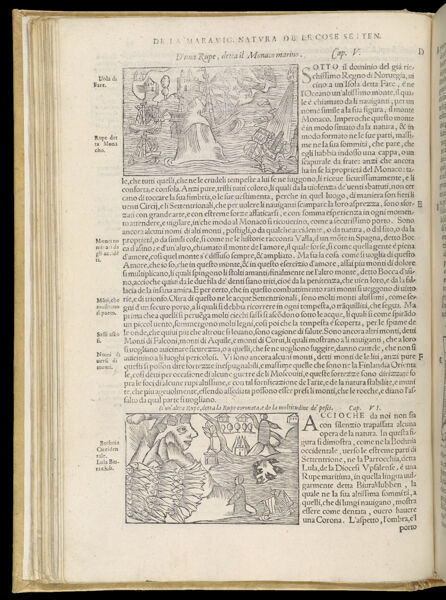 Text Page 95 (illustrations and text)