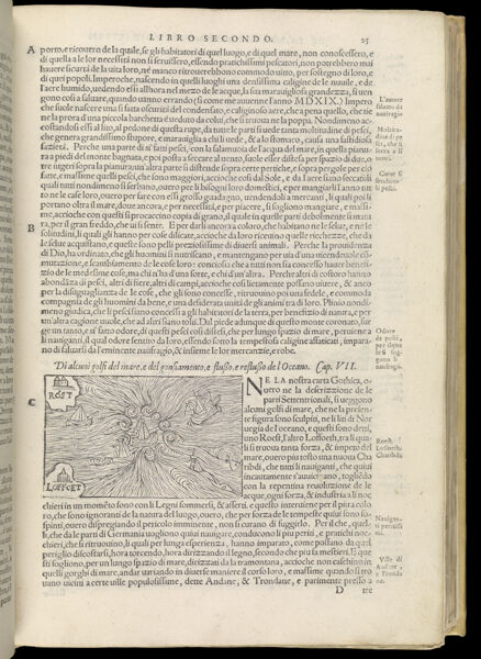 Text Page 96 (illustration and text)