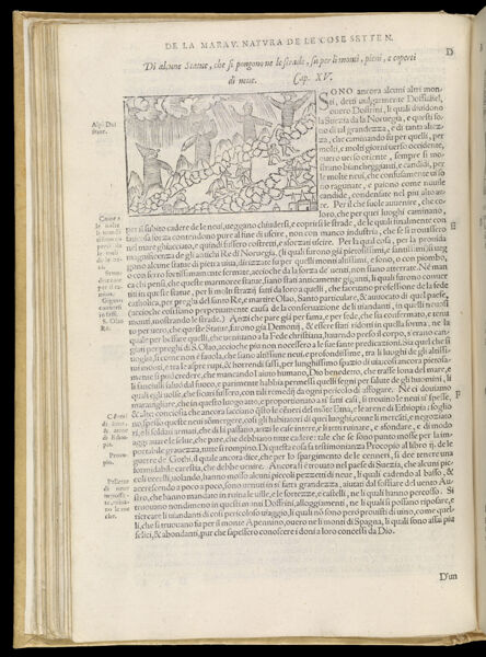 Text Page 103 (illustration and text)