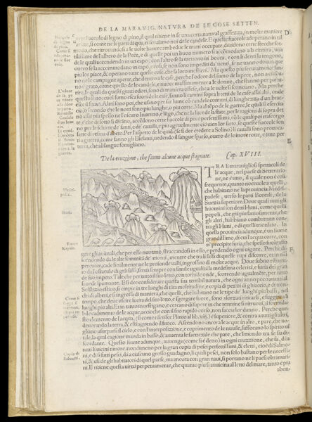 Text Page 105 (illustration and text)