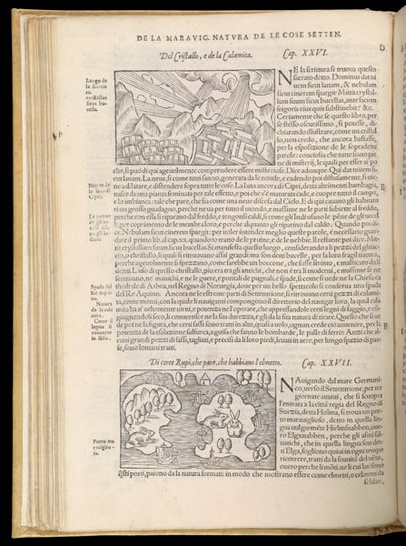 Text Page 113 (illustrations and text)