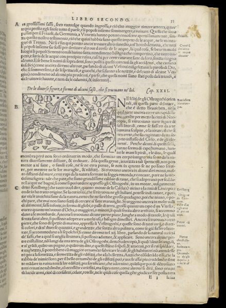 Text Page 116 (illustration and text)