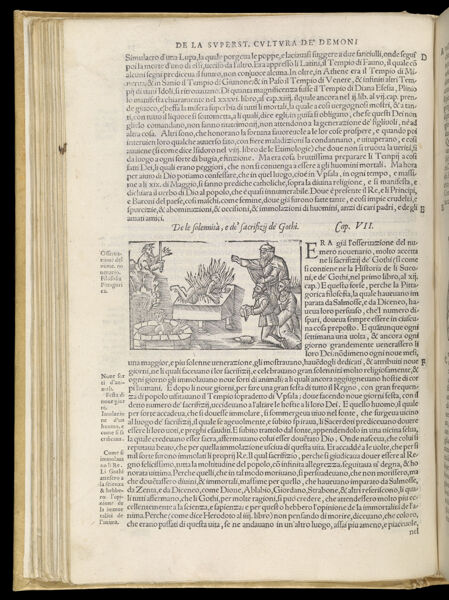 Text Page 125 (illustration and text)