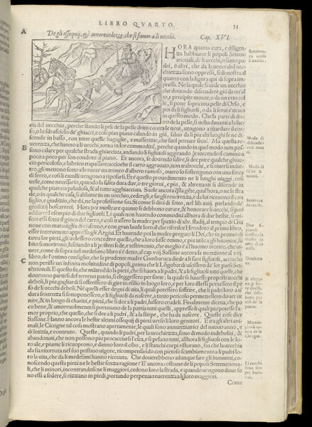 Text Page 156 (illustration and text)