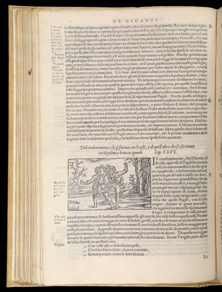 Text Page 185 (illustration and text)