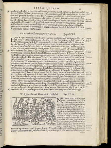 Text Page 188 (illustration and text)