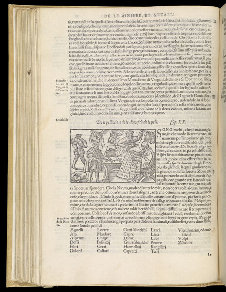 Text Page 205 (illustration and text)