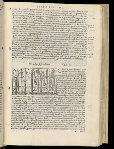 Text Page 208 (illustration and text)