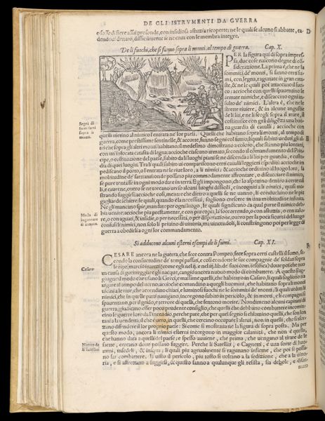 Text Page 213 (illustration and text)