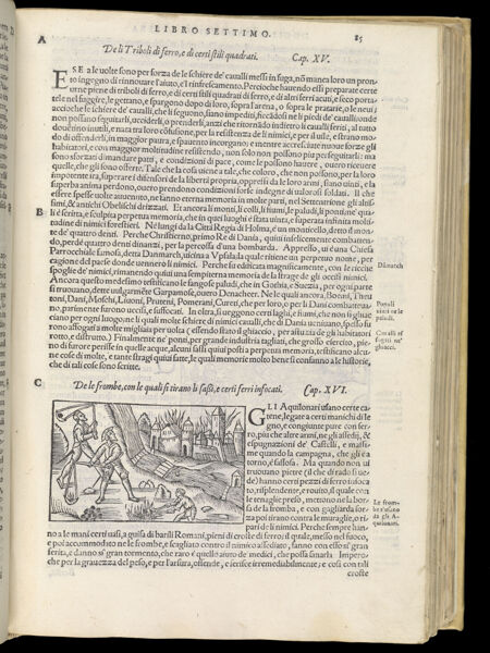 Text Page 216 (illustration and text)